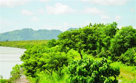 SUSTAINABLE CITY: Iloilo’s green initiatives .